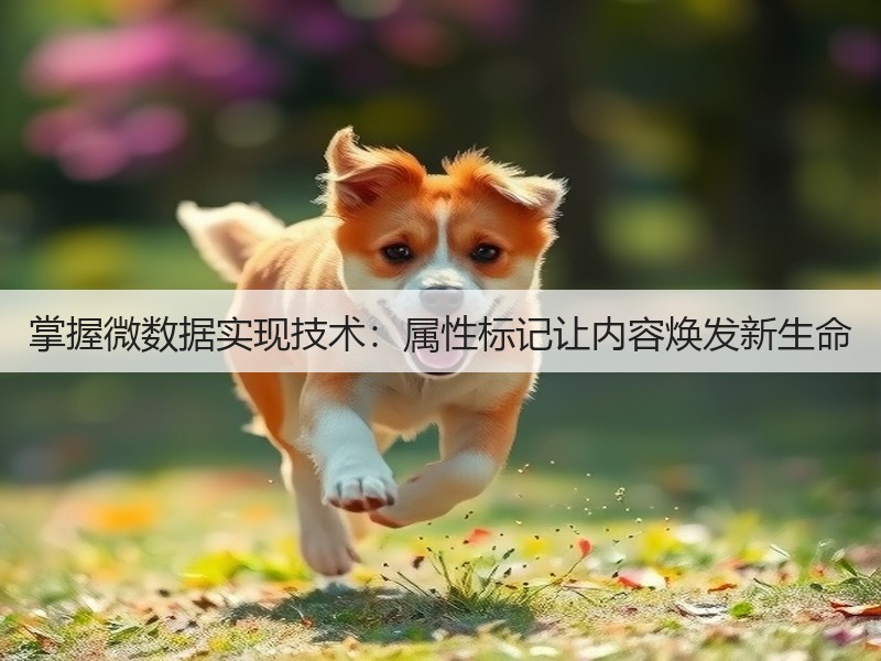 掌握微数据实现技术:属性标记让内容焕发新生命(图2) 掌握微数据实现技术:属性标记让内容焕发新生命(图2)